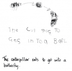 The caterpillar eats to get into a butterfly.