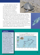 One of the campaign's main aims was satellite tracking. Sea turtles travel huge distances, and although they had...